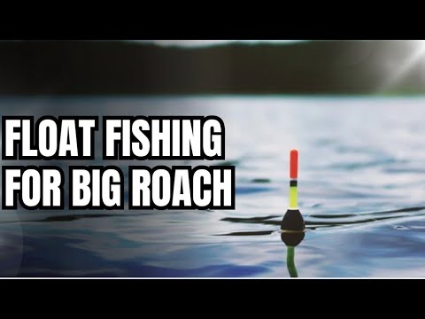 Float Fishing For BIG Roach and Tench