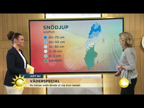 Väderspecial – stabilt vinterväder under januari - Nyhetsmorgon (TV4)