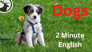 How to Talk About Dogs - 2 Minute English Mini Podcast #dogs #englishspeaking #ieltsspeaking