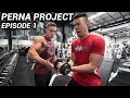 How I Train Arms | THE PERNA PROJECT : Episode #1