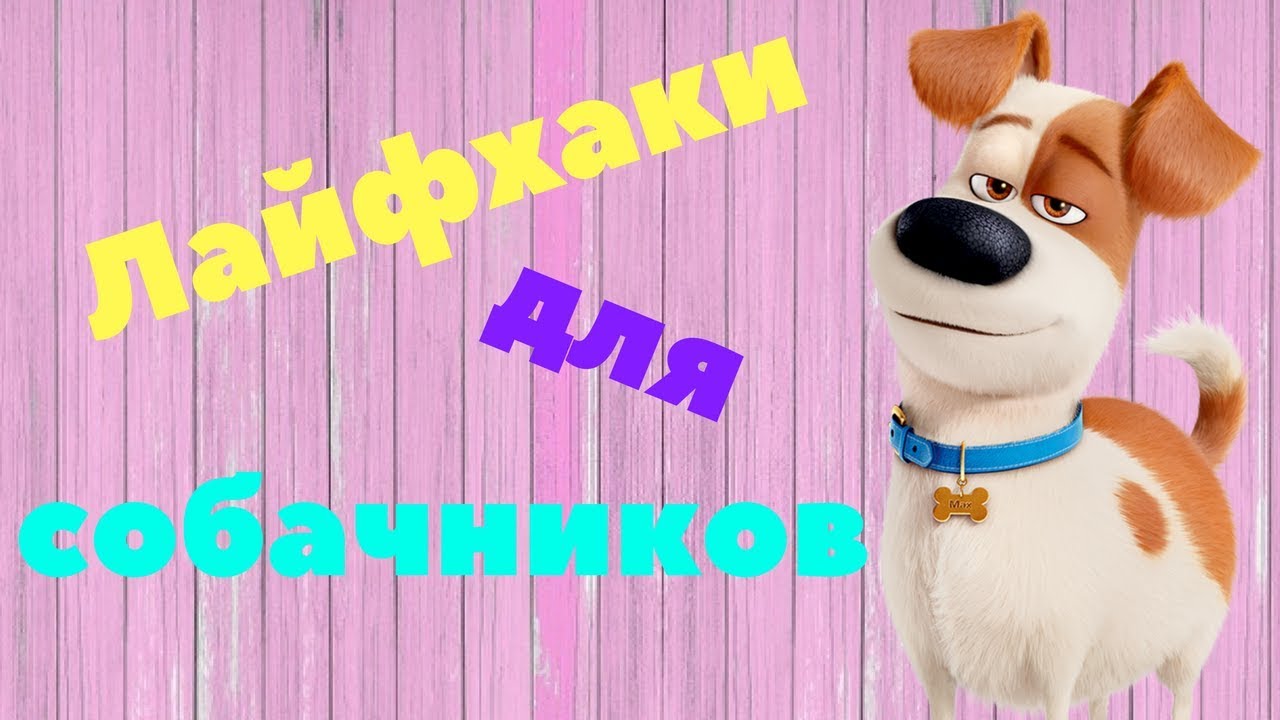 YouTube video preview