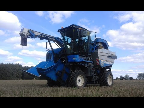 Zbiór aronii 2017 w BWB Podlasie  ll NH BRAUD 9090X ll NH T3 x2 ll