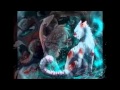 Коты-воители Искра и Коршун 