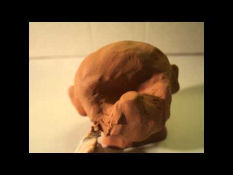 Foxygen - "Make It Known"