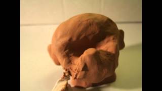 Foxygen - "Make It Known"