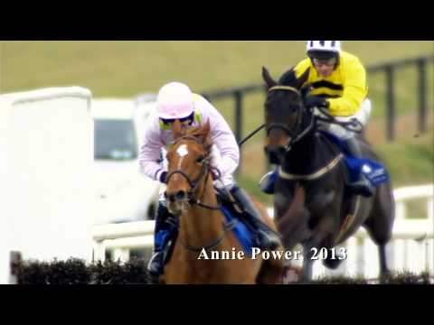 ITBA FILLIES NH BONUS SCHEME