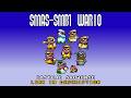 SMBX2 SMAS SMB1 Wario Costume Showcase