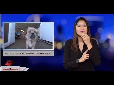 Certain dog food may be linked to heart disease (ASL - 6.29.19)