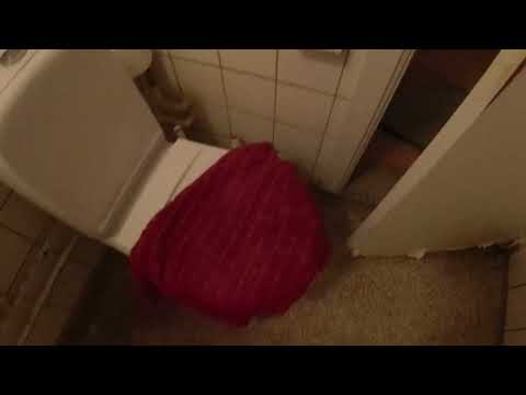 MongoTV_12484 - BAD og BARBERING Mandag Formiddag