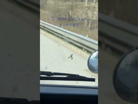 Dance like nobody is watching #nature #music #labouche #90s #viral
