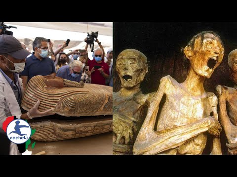 Archaeologists in Egypt Open Perfectly Preserved Sacred African Coffins for Media