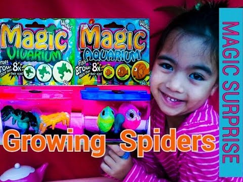 Watch Your Fish Grow !!! Magic Grow Aquarium Toys Spiders Kids Balloons and Toys Video