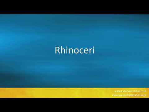 How to pronounce "Rhinoceri".