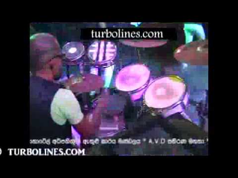 purple range nonstop sadata sada eliyata