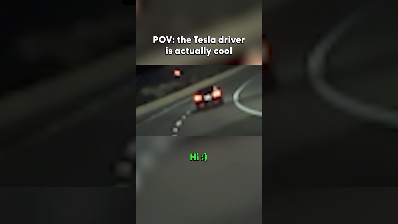 Coolest Tesla driver I've ever met