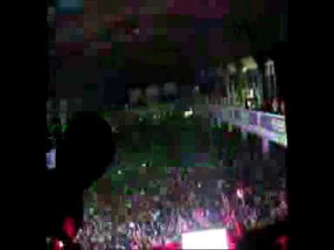 Dog hands video mash up pt 2