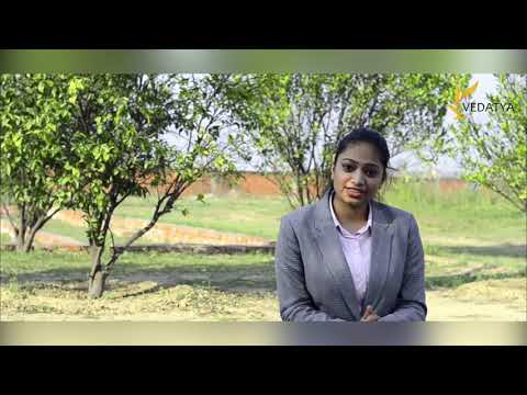 Vedatya Institute Gurgaon General video thumbnail 12