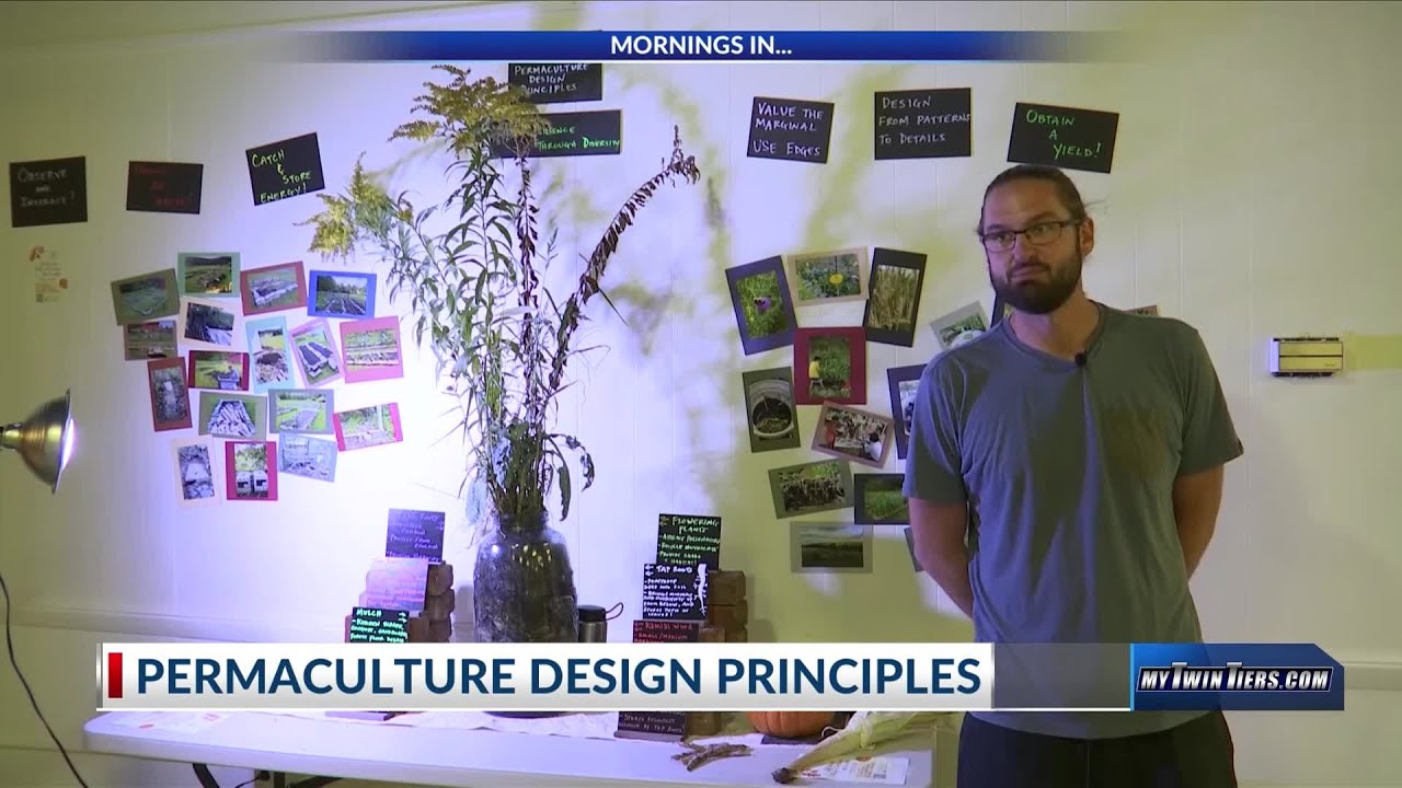 Mornings in Elmira: CalmUnity Farms