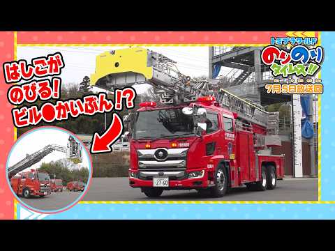 【はしご車を捜査せよ！】しゅつどう！ピカピカサイレン捜査一課！&シンカリオン特別ダイヤ版毎週放送｜のりのりタイムズ!!｜トミカ｜プラレール #65