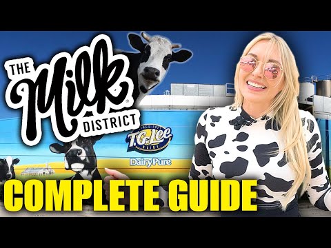 Orlando's Milk District: Everything You Need to Know!