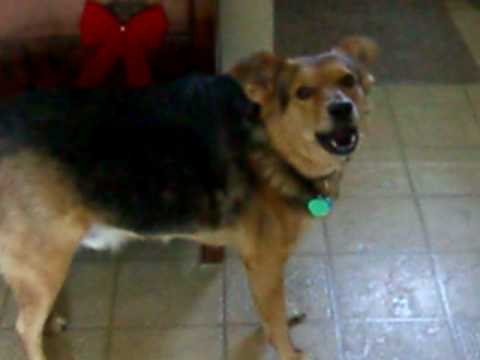 Rakiya - Video 004 - January 2006