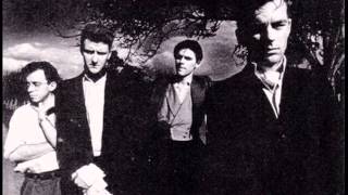 And Also The Trees   Needle Street