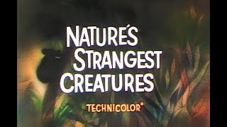 Walt Disney's Nature's Strangest Creatures (1959 Theatrical Featurette)