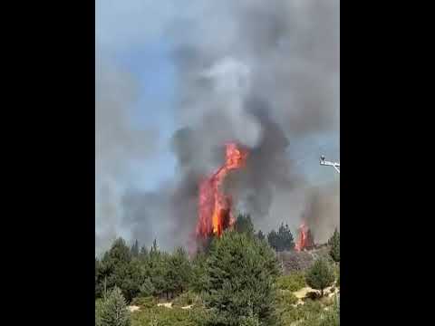 Incendio cerca de la localidad de Cholila