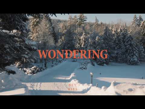BEYRIES - Wondering