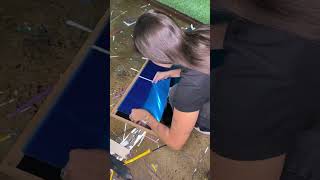 DIY Halloween ? / Eva Miller TikTok #evamiller #tiktok #shorts #trending #ytshorts #short