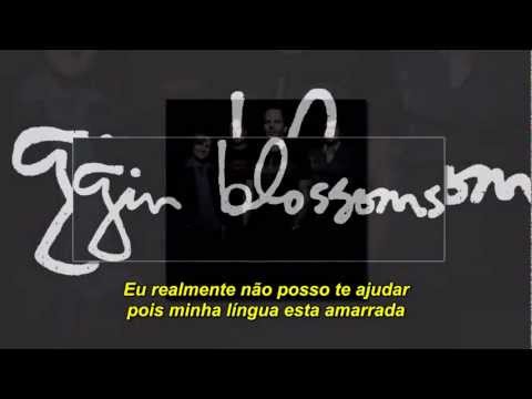 Gin Blossoms Follow You Down Legenda traduzida
