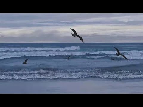 Mila Nikollic - Pucina (tiktok cover)