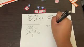 Building Macromolecules Video