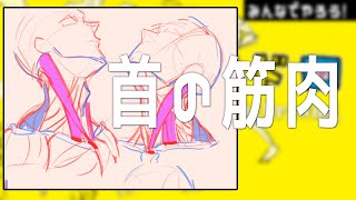 首を形作る筋肉とは 朝ドロ#66 90秒ドローイング 【初心者歓迎】Study the muscles of the neck.