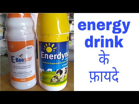 Energy drink e booster enerdyna