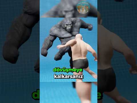 ❗Onunla Dövüşürsen Sıkıntı Büyük… 🦍👊🚫