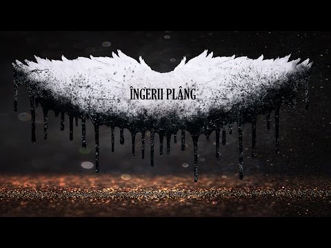 JerryCo feat. BalAdda - Ingerii Plang | Single Oficial