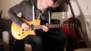 Godin LG SIGNATURE FLAME AA - відео 1