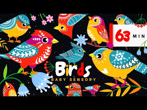 Volkstümliche skandinavische Sinnesvögel für Kinder! Herbstparty | Kontrastreiche Animation