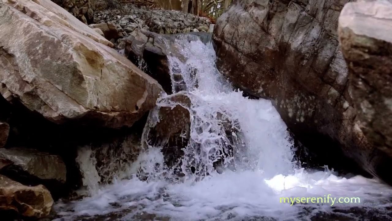 Exploring the Depths of Velvet Revolver's 'Headspace' Lyrics