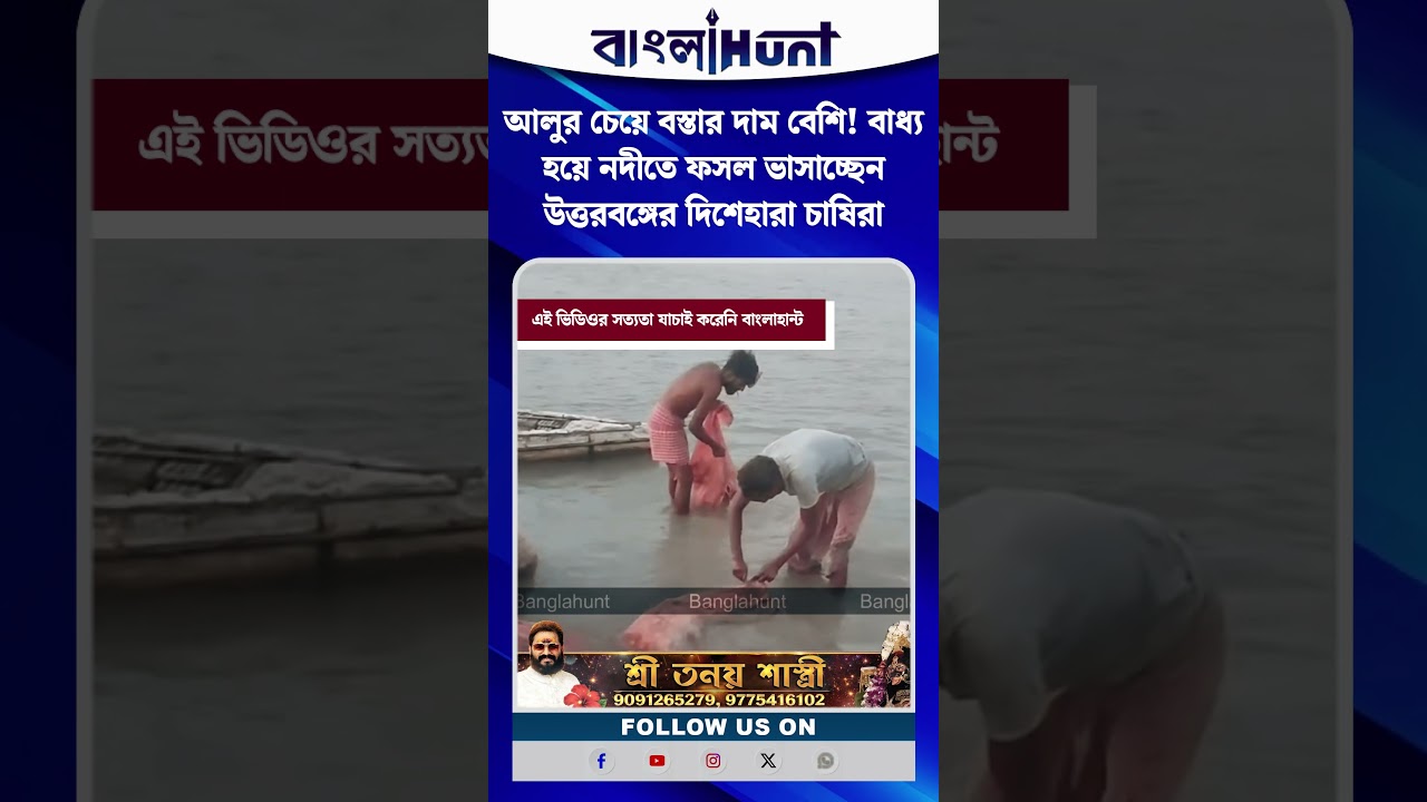 আলুর চেয়ে বস্তার দাম বেশি! বাধ্য হয়ে নদীতে ফসল ভাসাচ্ছেন উত্তরবঙ্গের দিশেহারা চাষিরা