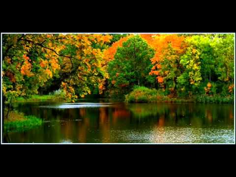 Pusbroliai Aliukai Ir Sesutė - Meilės Klevas