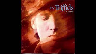 The Triffids - Everything You Touch Turns to Time