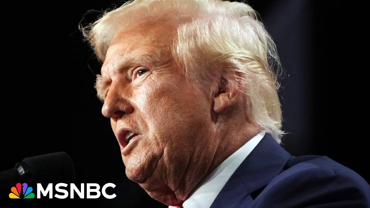 ‘Donald Trump and his ilk are the deep state’: Steele blasts Trump admin