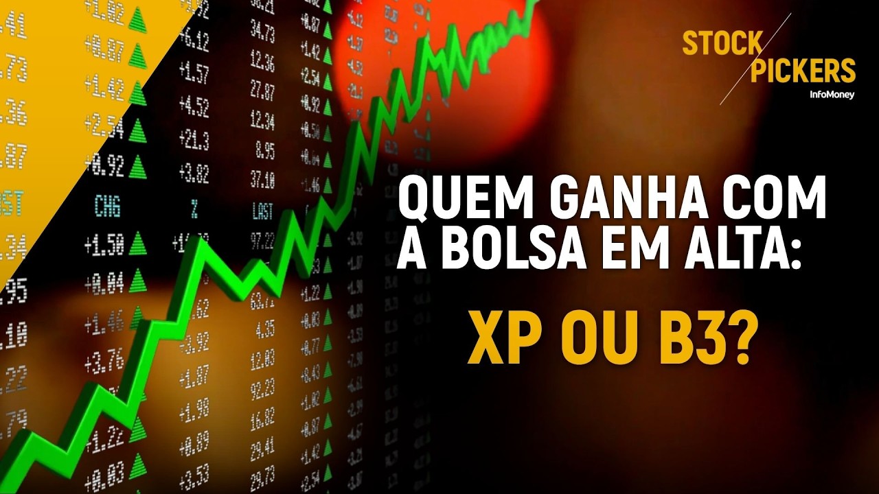 XP e B3 podem ser as grandes beneficiadas se o investidor voltar à Bolsa?