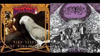 Hatebeak - Bird Seeds of Vengeance