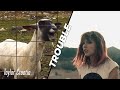 Taylor Swift - I Knew You Were Trouble (Goat Remix) (Taylor's Version)
