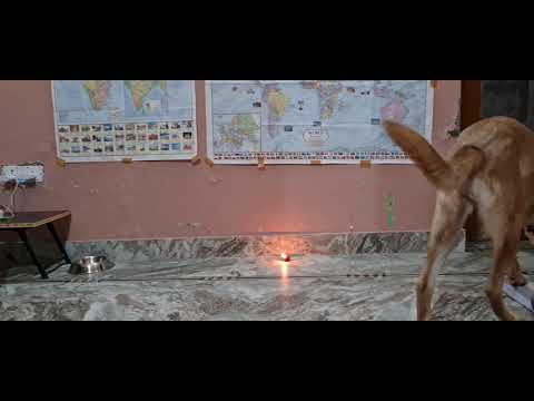 Dhruva's first Diwali..Wait for her reaction