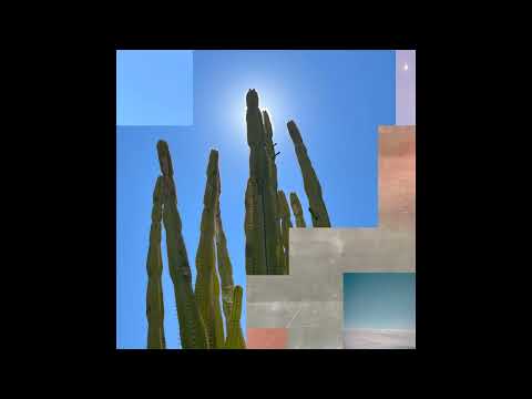 Steve Mill - Copenhagen Ride