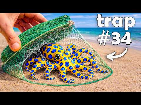 I Dropped 100 Fish Traps, Here’s What I Found…